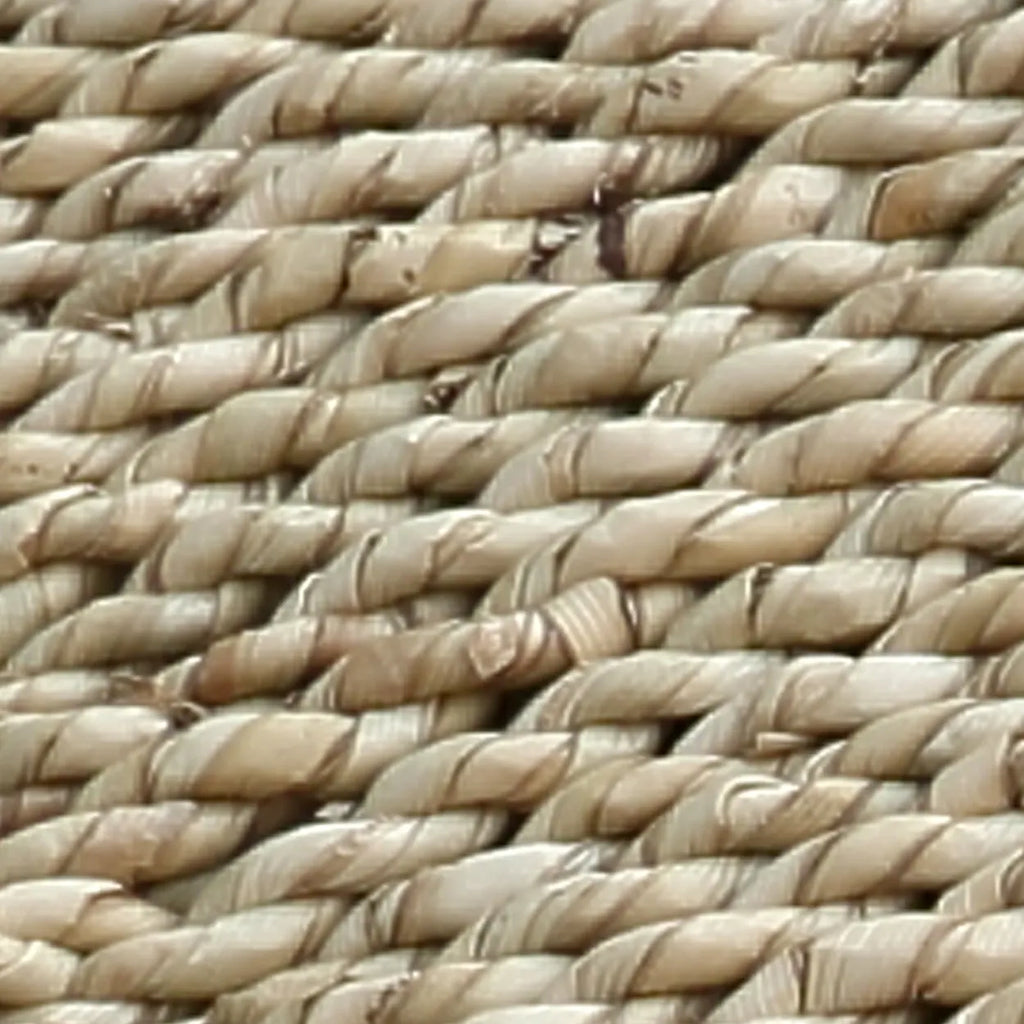 Le banc en herbe de mer de Porto - Naturel - L