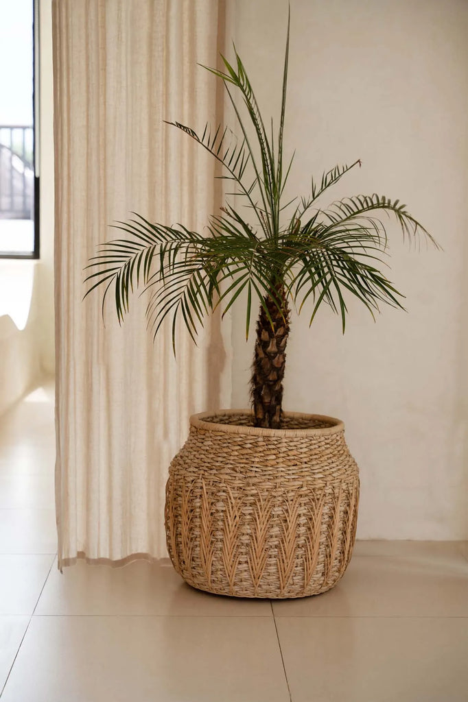 De Luziru Mand - Naturel - L se traduit en français par "De Luziru Mand - Naturel - L".