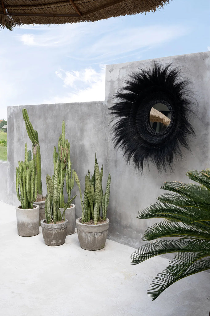 Le miroir de la forêt engloutie - Noir